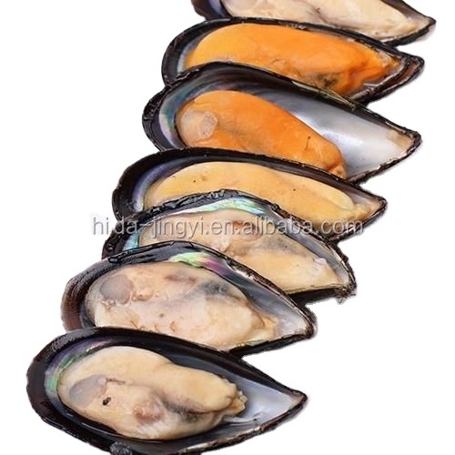 Frozen cooked whole shell mussel in juice  Frozen Mussel in Shell 20~40, 40~60U/kg