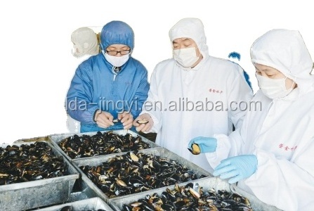 Frozen cooked whole shell mussel in juice  Frozen Mussel in Shell 20~40, 40~60U/kg