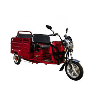 Electric Cargo Tricycle Electric Scooter 3 Wheel  E Tricycle Taxi Moto Adult Tricycle Electric Bike