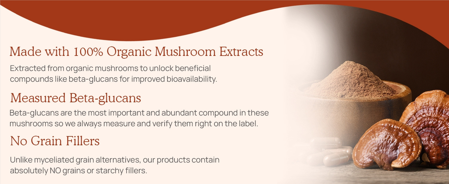 Supplements Ganoderma Lucidum Spore Capsules 500mg Reishi Mushroom Extract Capsules