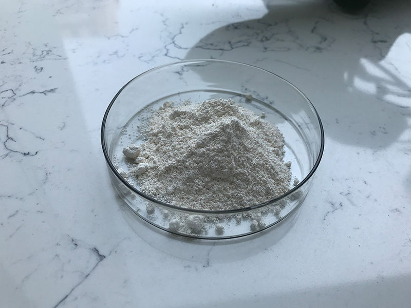 Wholesale 98% Cyanotis Arachnoidea Extract Pure Beta-Ecdysterone Beta Ecdysterone Powder