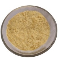 Durlevel supply Huperzia Serrate Extract with fast shipping Huperzine A1%--99% powder for sale