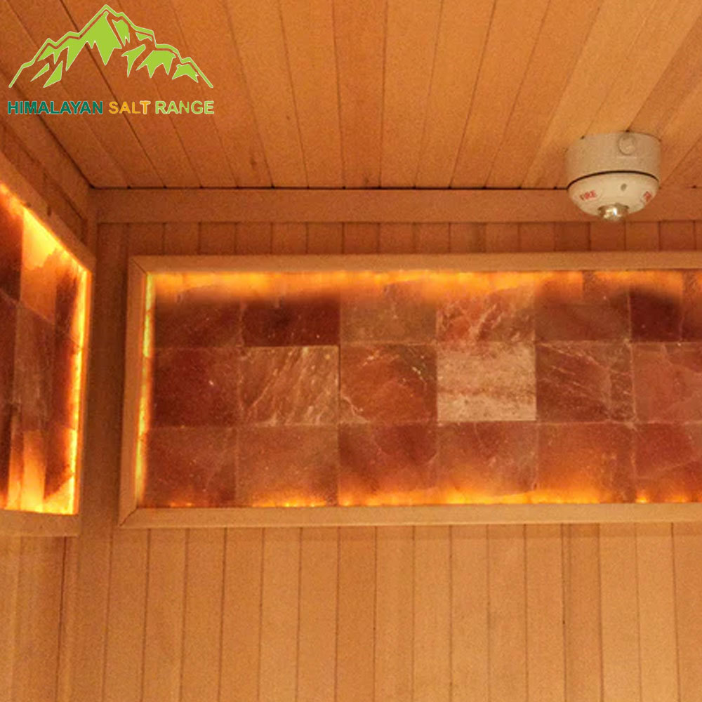 Superior Quality Cheap Price Natural Himalayan Pink Salt Brick For constructing Salt Walls And Salt Rooms