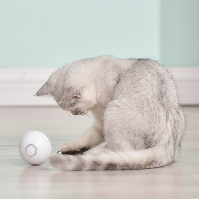 Cat Ball with Feather Bell Laser Light Best Sell Pets Products Cheap Price Plastic Ball Cat Toy LED Flash