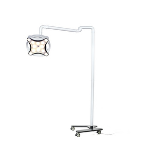 Wall Mounted Shadowless Led Operating Lamp Ceiling Medical Examination Light For Dental Pet ICU Use ENT Medical Equipment Price