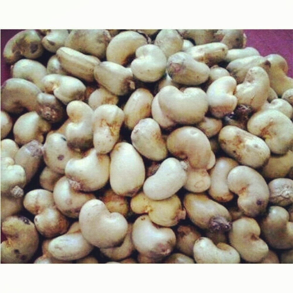 2019 cheapest shelling machine for cashew   salt roasted cashew  cashew nuts price in mozambique