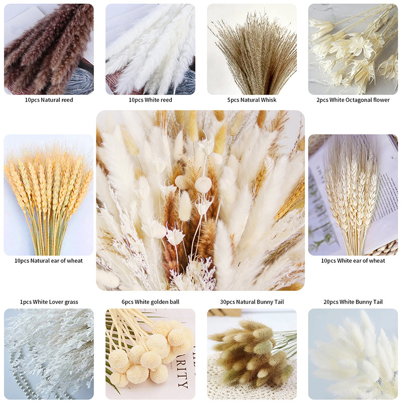 Hot Sale Dried Flower Bouquet Wheat Golden Ball Octagonal Bunny Rabbit Tail Grass Lovegrass Pampas Grass For Home Wedding Decor