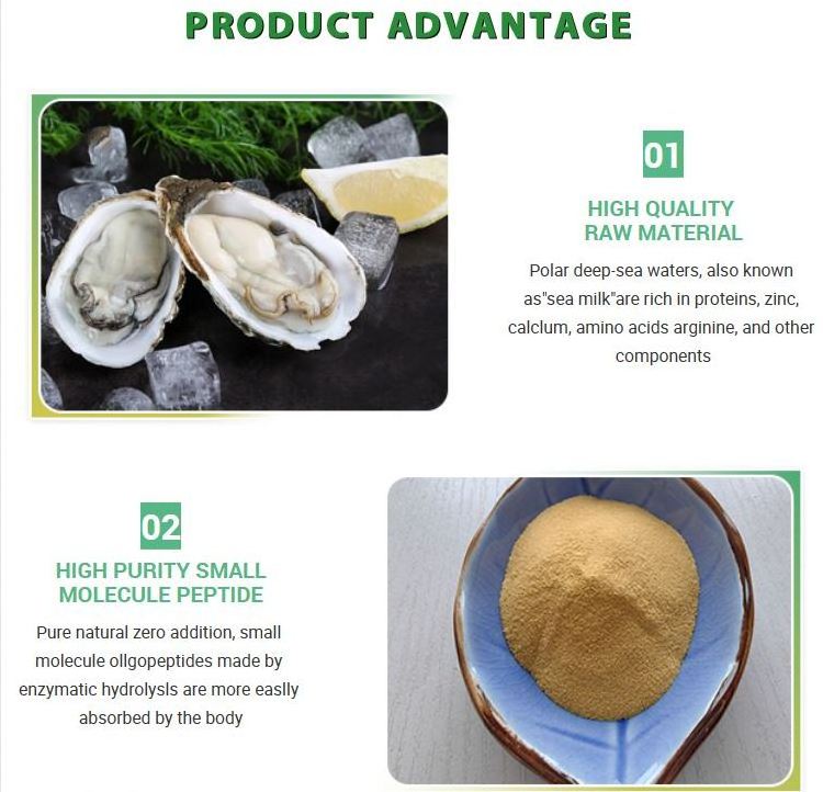 Pure Oyster Meat Extract Powder Oyster Peptide Solid Drink Powder Oyster Peptide Nutritional supplements