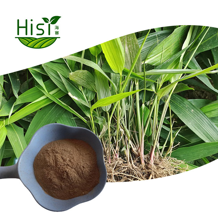 Factory supply hgih quality Lophatherum herb extract 10:1 Lophatherum gracile extract bamboo leaf extract powder