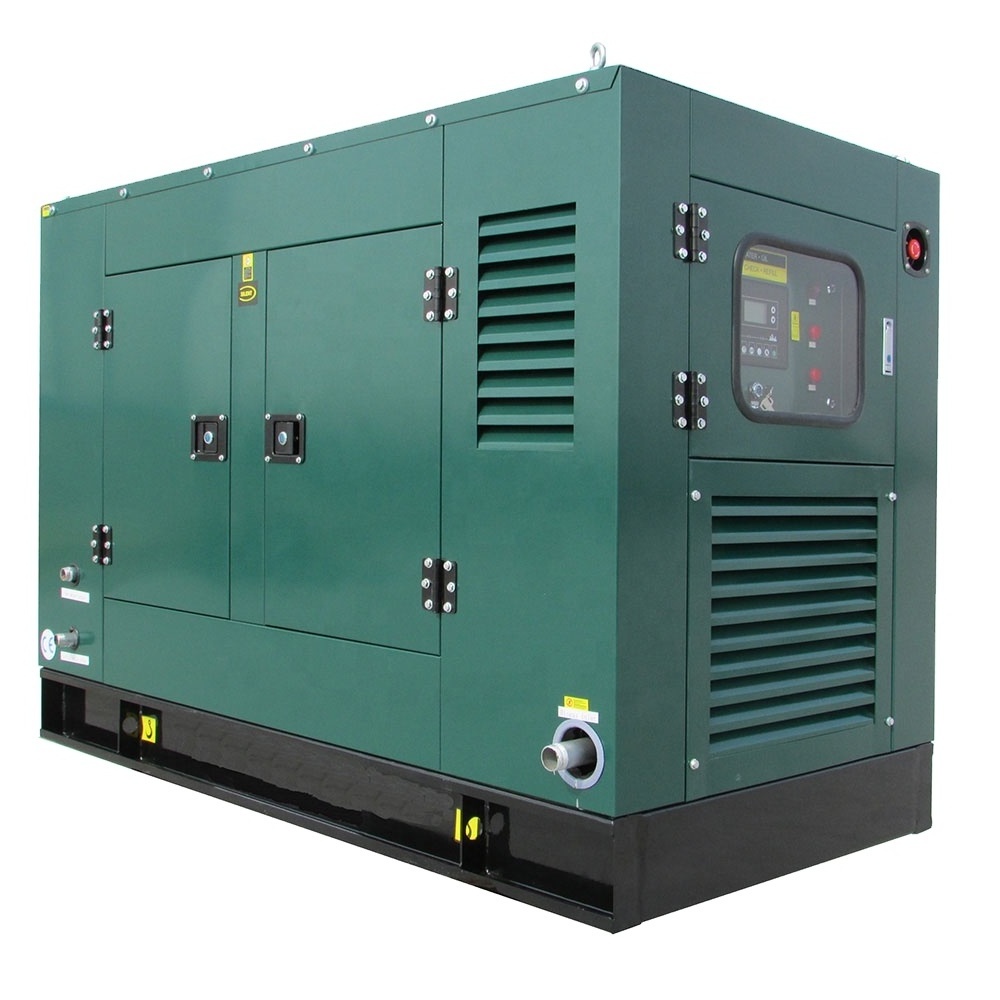 Clean Energy 10kw 15kw 20kw 30kw 50kw 300kw Powered Domestic Electricity Soundproof Biogas Generator With CHP