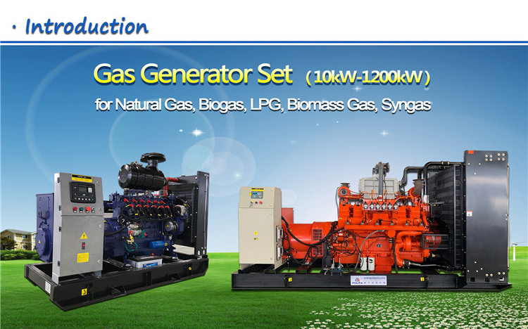 5Kw 30Kw 100Kw 300Kw 500Kw Electric Plant Power  Biogas lpg Natural Gas  Generator  Set