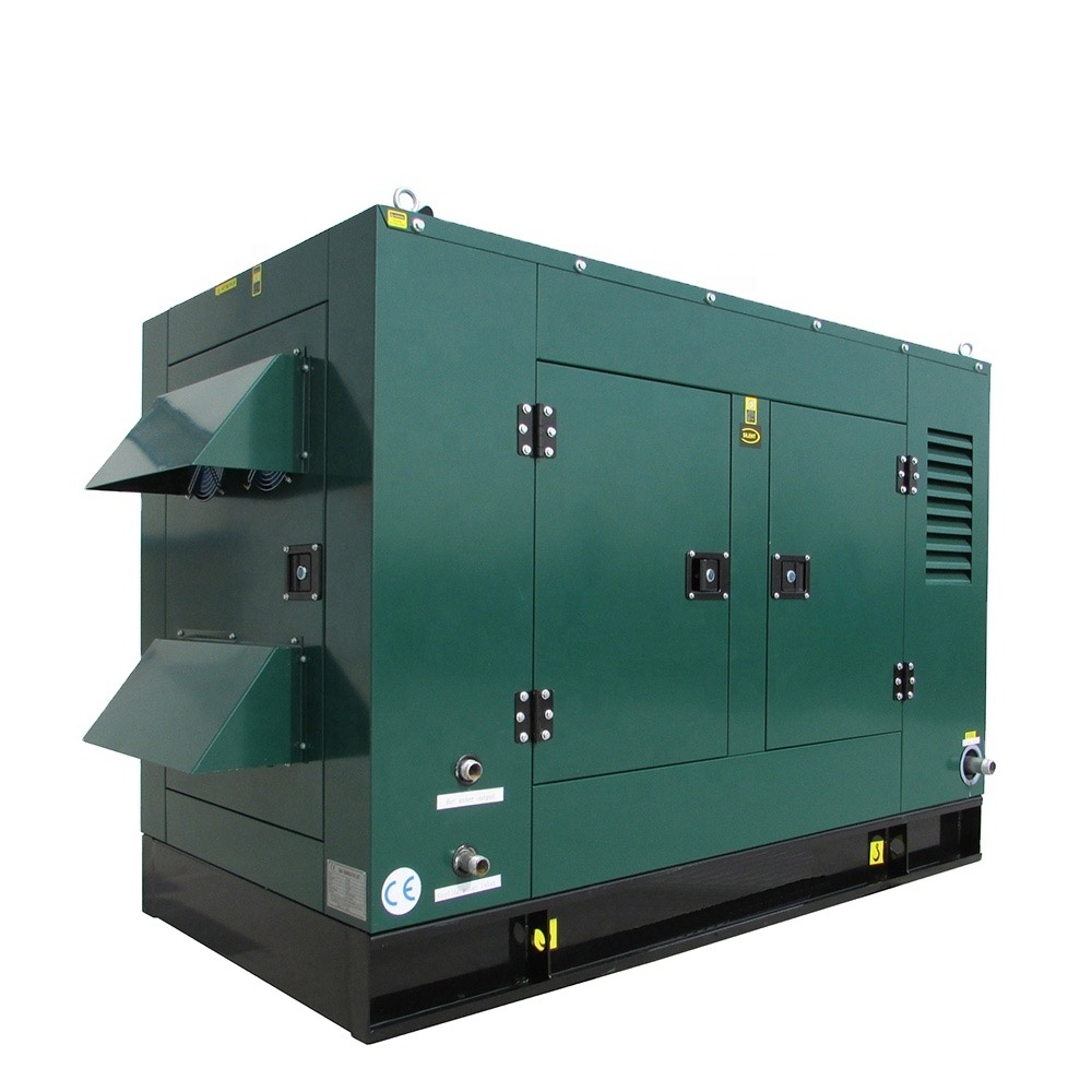 Clean Energy 10kw 15kw 20kw 30kw 50kw 300kw Powered Domestic Electricity Soundproof Biogas Generator With CHP