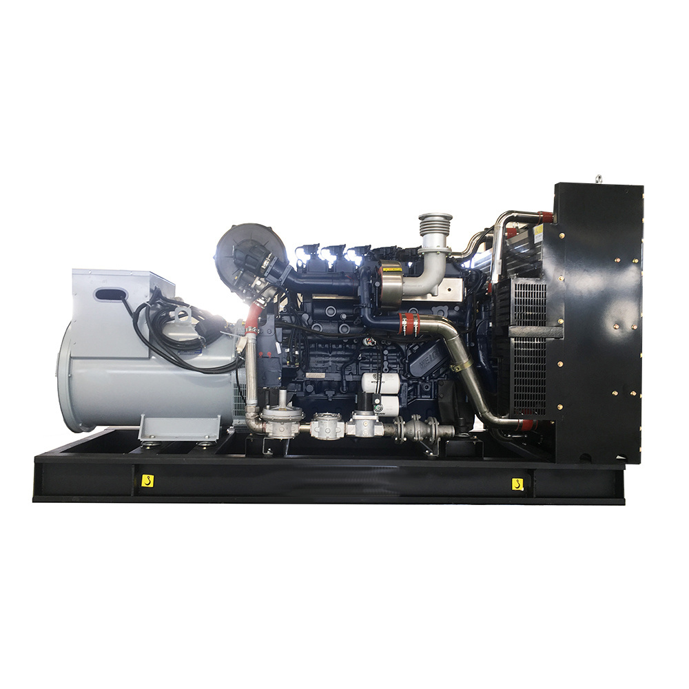 5Kw 30Kw 100Kw 300Kw 500Kw Electric Plant Power  Biogas lpg Natural Gas  Generator  Set