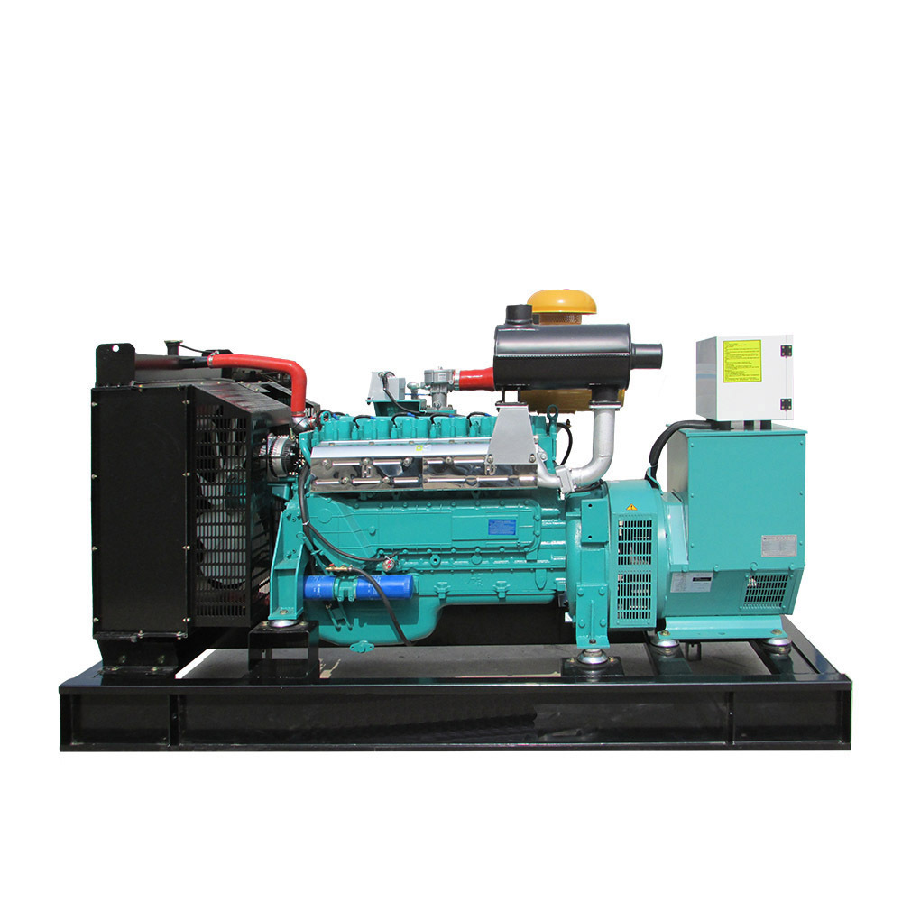 5Kw 30Kw 100Kw 300Kw 500Kw Electric Plant Power  Biogas lpg Natural Gas  Generator  Set