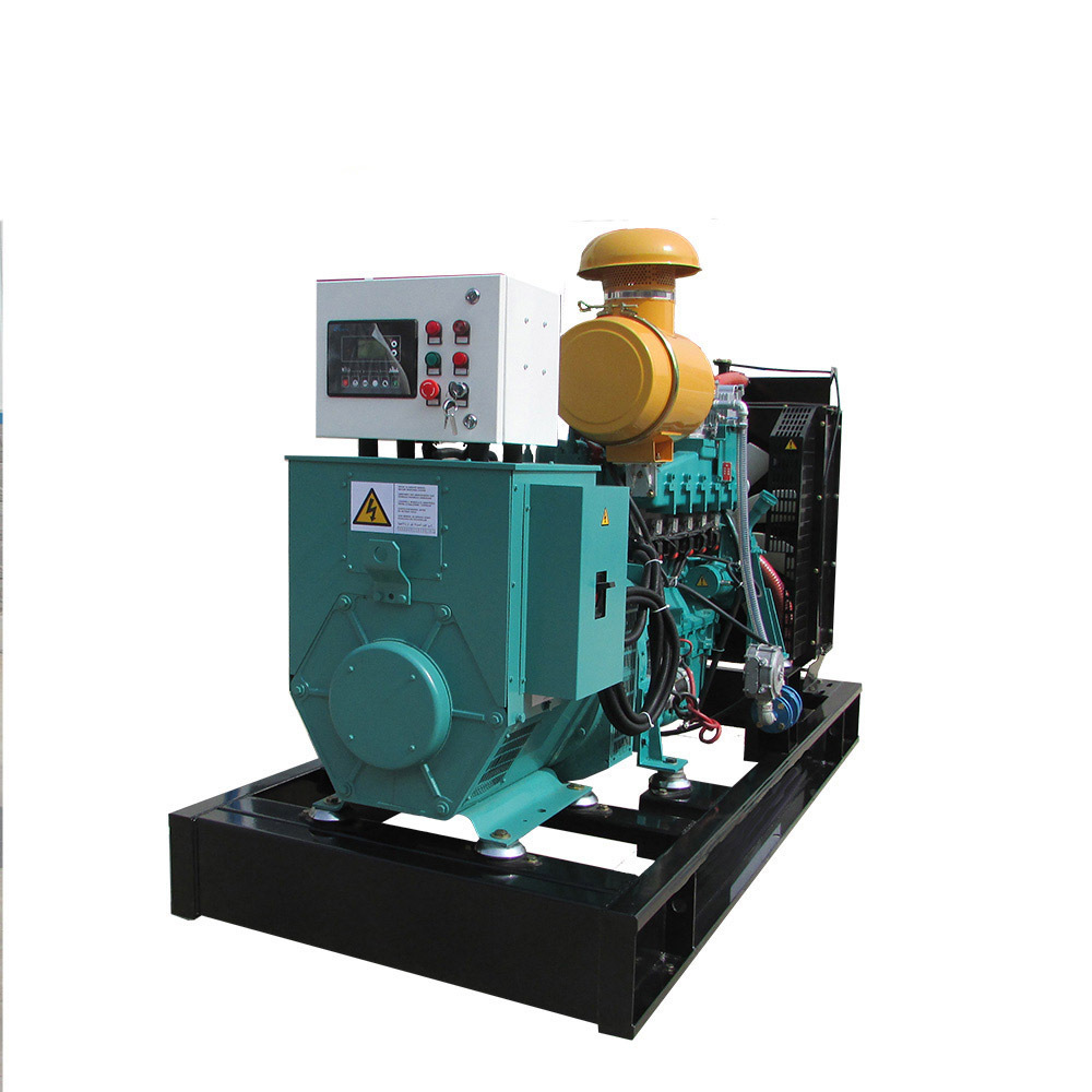 5Kw 30Kw 100Kw 300Kw 500Kw Electric Plant Power  Biogas lpg Natural Gas  Generator  Set