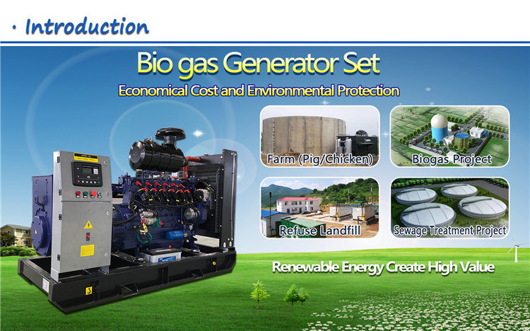 3 Phase High Efficiency Powered Liquid Cooled 50kW 100kW 150kW 200kW Biogas Generator Price With Cummins Engine