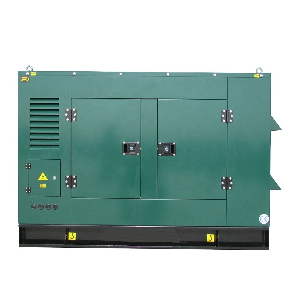 Clean Energy 10kw 15kw 20kw 30kw 50kw 300kw Powered Domestic Electricity Soundproof Biogas Generator With CHP