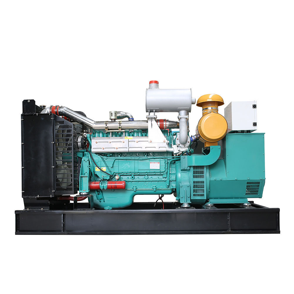 Cooking Food Waste Wood Fired Green Power Syngas Electrical Equipment Methane CHP CHPP Biogas Generator