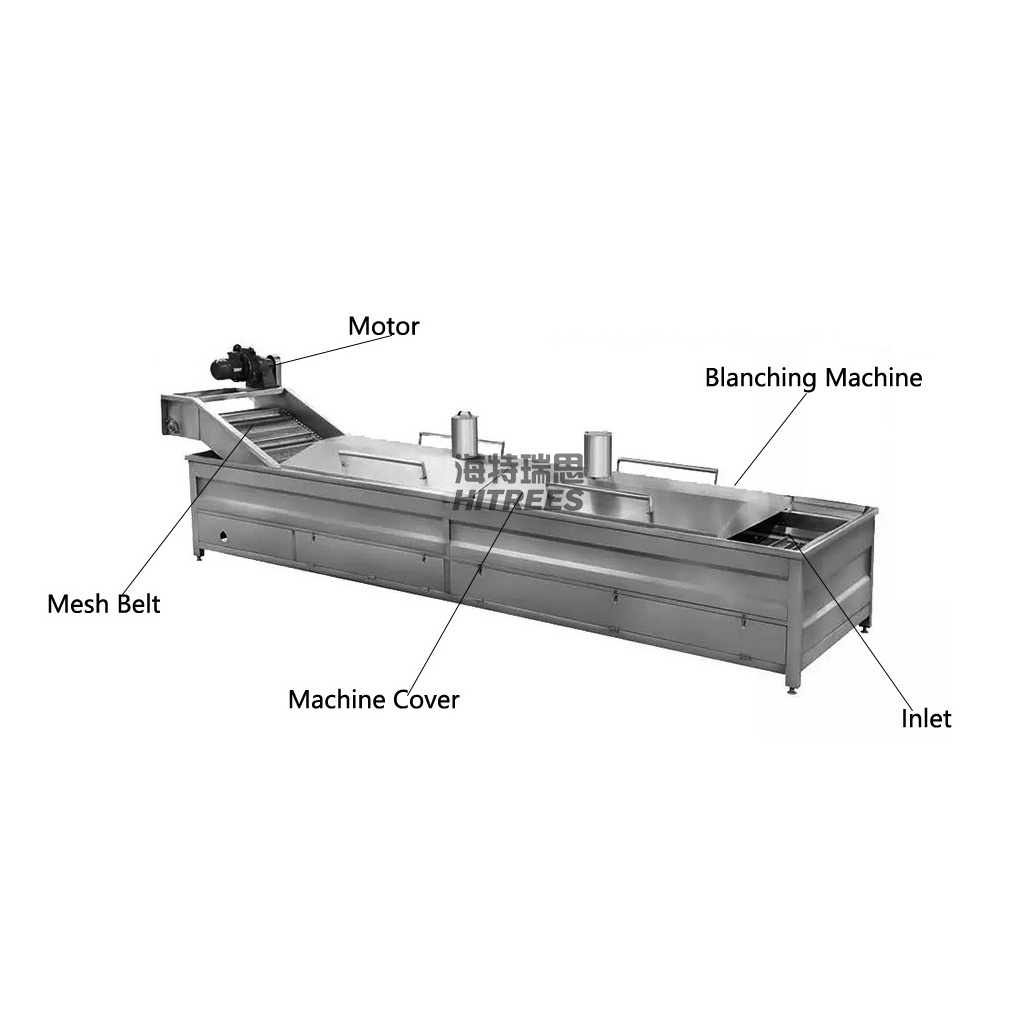 Blanching Machine Potato Coconut Industrial Blanching Machine