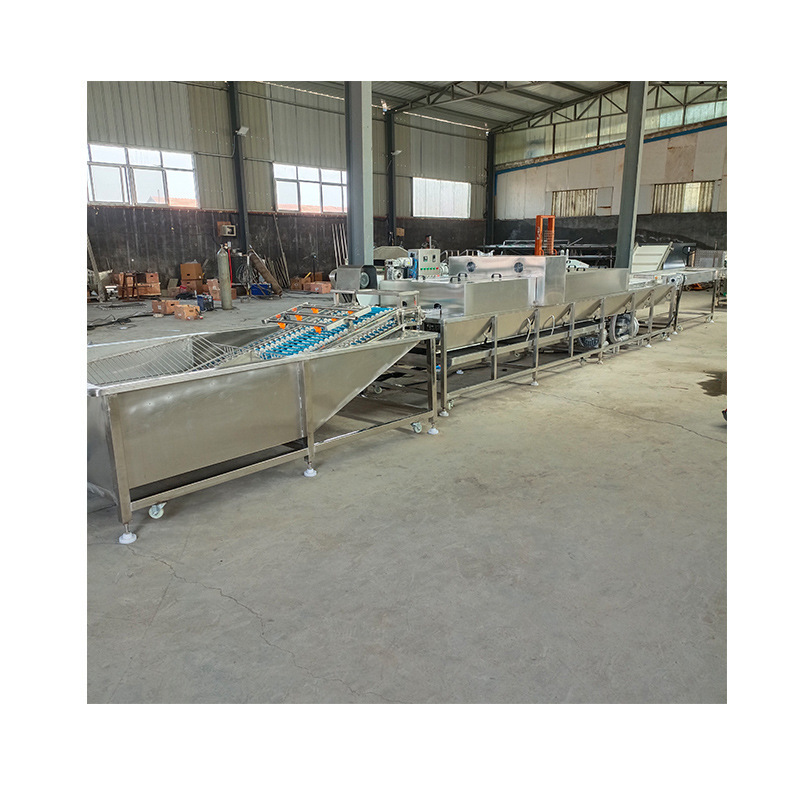 Good Price Chicken Egg Size Sorting Machine / Egg Washing and Grading Machine / Egg Grader