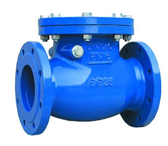 DIN3202 F6 Threaded Ductile Iron Swing Check Valve