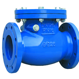 DIN3202 F6 Threaded Ductile Iron Swing Check Valve