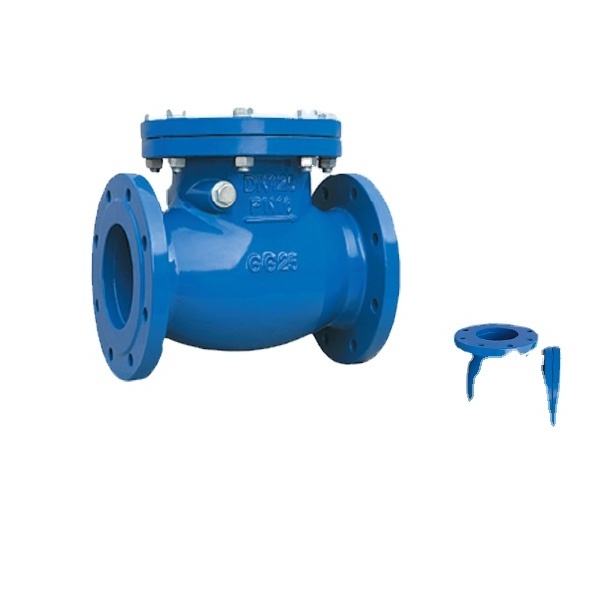 DIN3202 F6 Threaded Ductile Iron Swing Check Valve