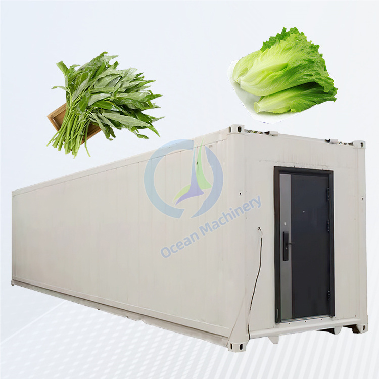 Future Farm Plant Factory Hydroponics in Freight Container