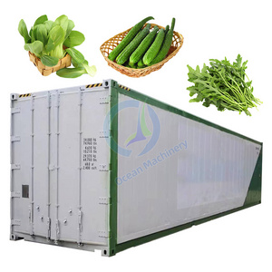 Future Farm Plant Factory Hydroponics in Freight Container