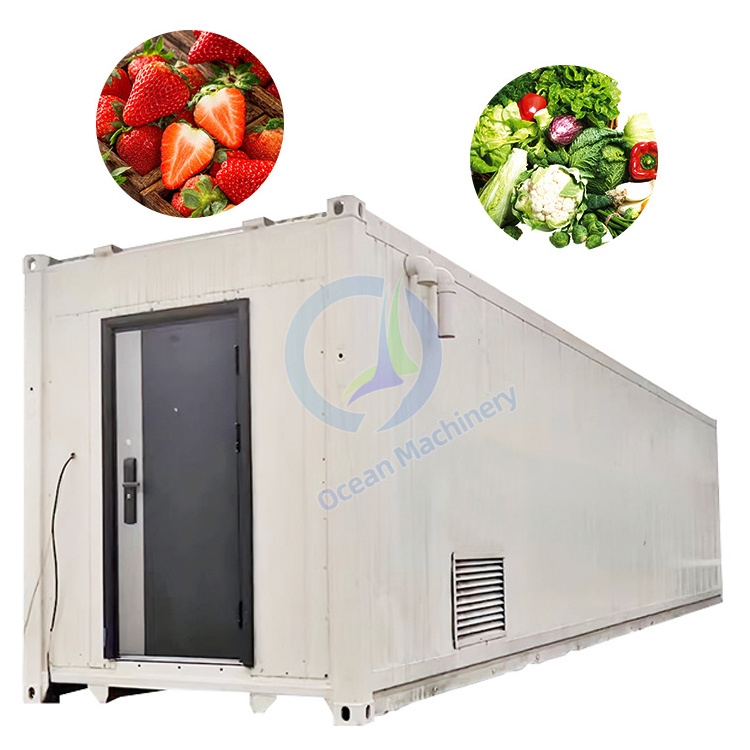 Smart Farm Grow Hydroponic Vertical Farming System 40ft Shipping Container Farm Greenhouse