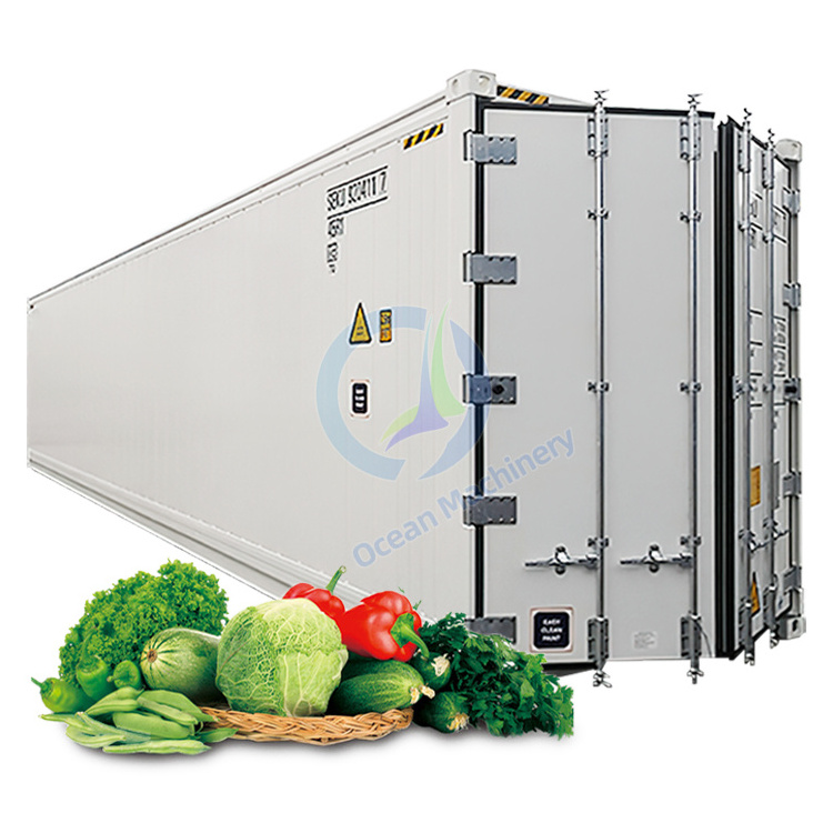 Future Farm Plant Factory Hydroponics in Freight Container