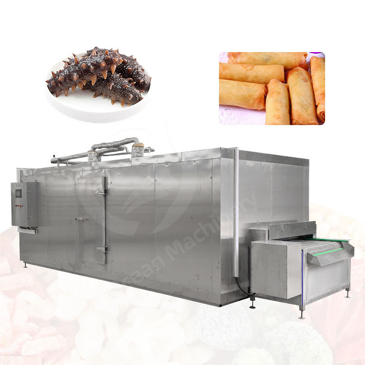 OCEAN Tunel De Congelacion Fast Commercial Flash Quick Freeze Iqf Tunnel Blast Freezer Machine Price