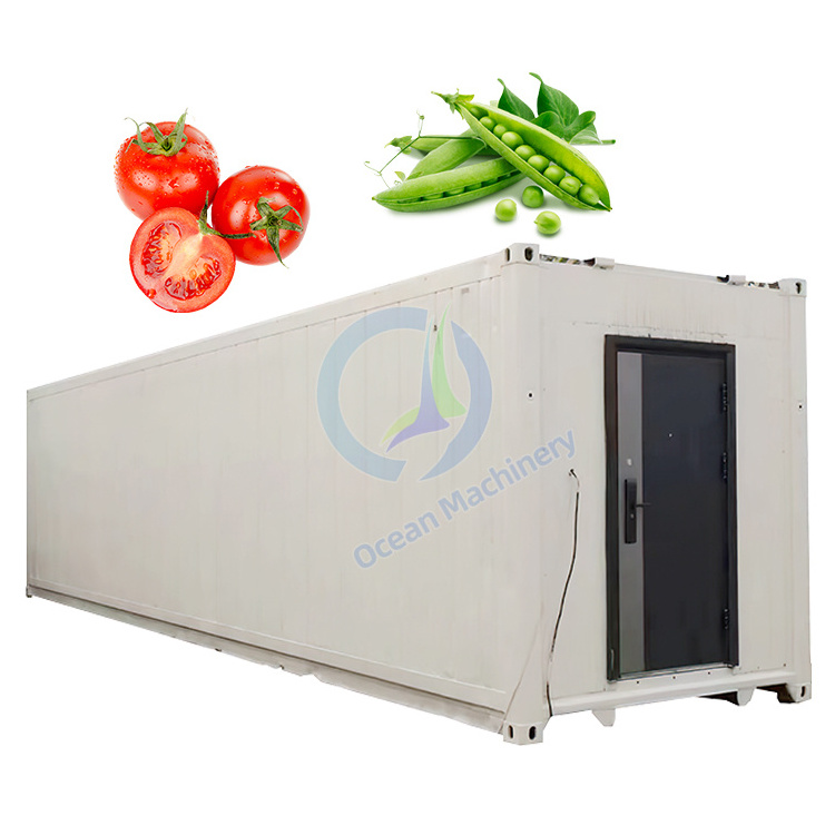 Full Automatic Vertical Grow Container Mushroom Mircogreen Aeroponic system in container farming