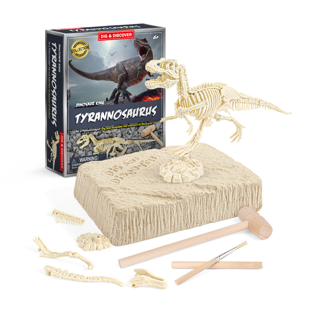 Animals & dinosaurs fossils model dinosaur toys set, dinosaur skeleton sculpture other educational toy for kid, dinosaur dig kit