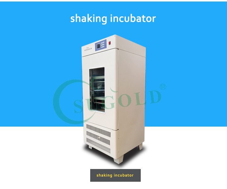 Laboratory Equipment Incubator Shaker Incubator for microbiology laboratory