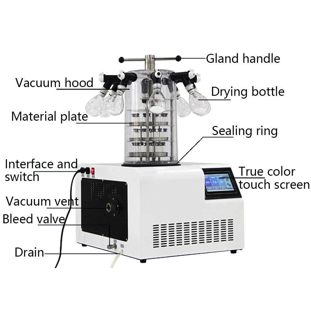 Cheap Mini Vacuum freeze dryer for sale / lyophilizer price with LCD displayer