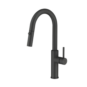 Stainless Steel Pull Out Kitchen Faucet - Modern Design with Flexible Hose, Pull Down Sprayer, and Hot/Cold Water Control