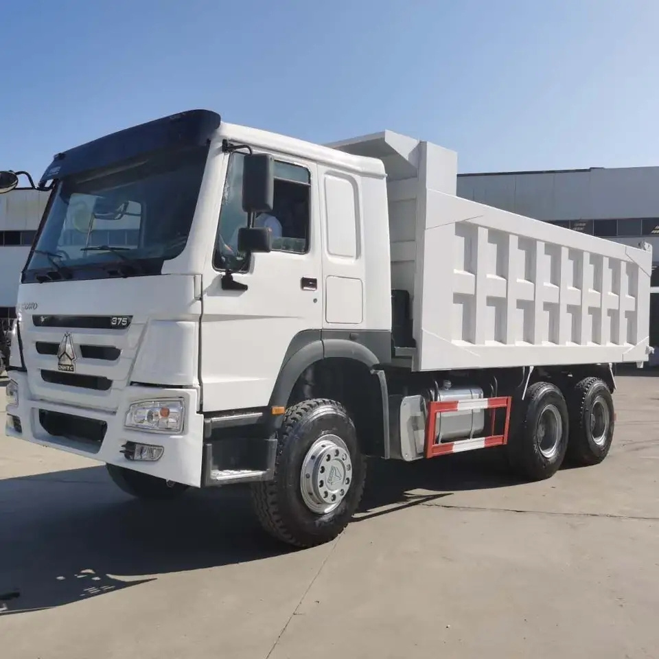 Sinotruk New or Used HOWO 4X2 6X4 8X4 10 Wheeler 336HP 371HP 420HP 25ton Light Dump Heavy Lorry Stake Van Crane Cargo Truck