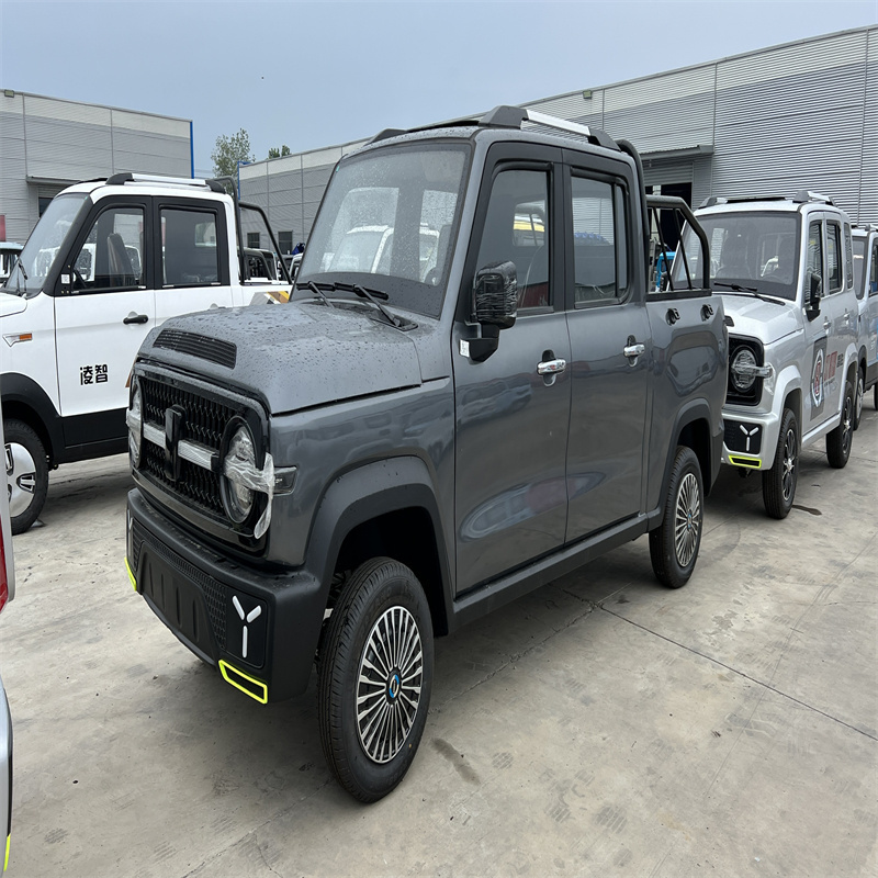 Made in China Sold Well in Europe and America 4000W Four-Wheel Electric Pickup Truck