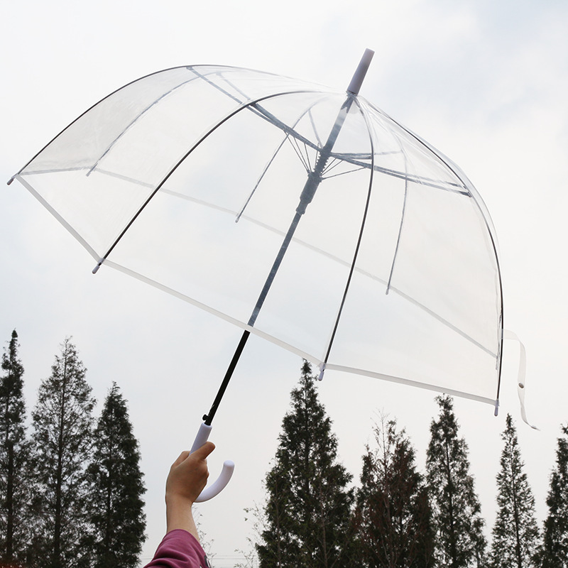 Creative transparent Apollo white 8-bone parapluies, curved handle straight pole transparent umbrellas