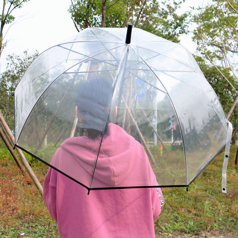 Creative transparent Apollo white 8-bone parapluies, curved handle straight pole transparent umbrellas