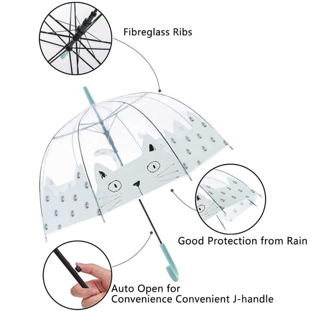 Windproof dome shaped apollo tote clear bubble rainbow transparent embossing poe recycle umbrella 60 cm diameter for women