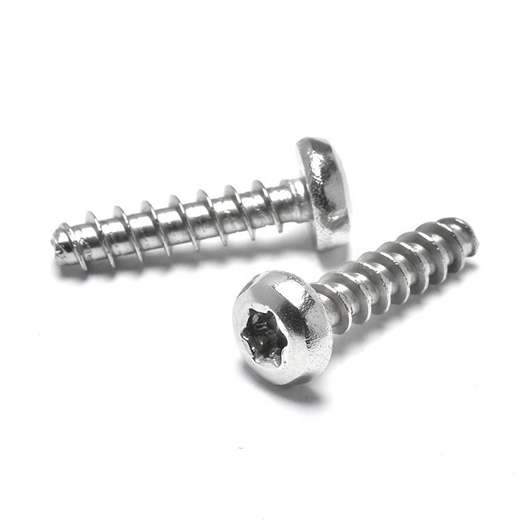 Stainless Steel or Zinc Plated  Pan Torx Head Thread Forming Self Tapping Screw for Plastic