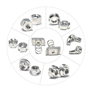 A2 SS304 M6 M8 M12 Hex Cage Anti Theft Security  Breakaway  Bolt and Nut Flanged Hex Lock Nut