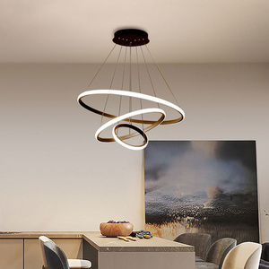 Nordic Hanging Lights For Restaurant Dining Table Kit Modern Black Metal Pendant Lamp