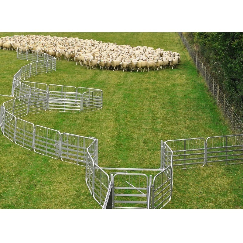 Premium Alpaca Pig Pen  Panels,Feeders & Corral Gates,Galvanized Portable Sheep Goat Yard Fence Panels