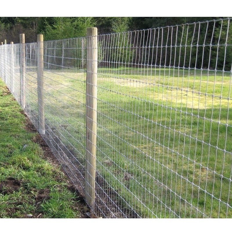 Hexagonal Rabbit Chicken Wire Netting Roll/Galvanized PVC Coated Farm Grassland Sheep Cow Wire Mesh Fence