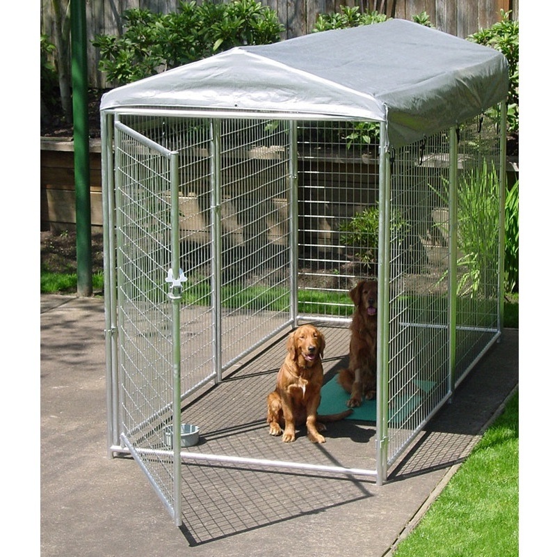 Factory Price High quality chain link dog kennel fence panel/10x10x6 foot galvanized dog kennel /outdoor dog run kennel