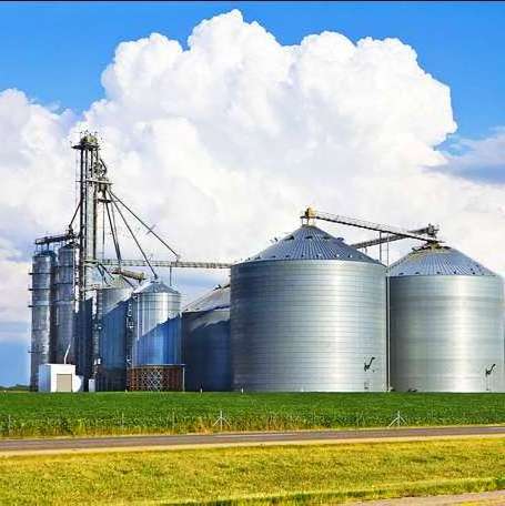 3000ton Seed Steel Grain Storage Silo Stocking Silo for Sale