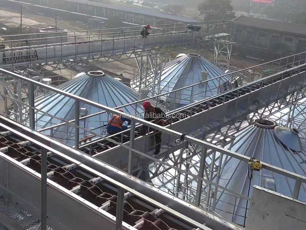 Corn Silo 500t 800t 1000t 2000t 5000t 10000t Storage Silos